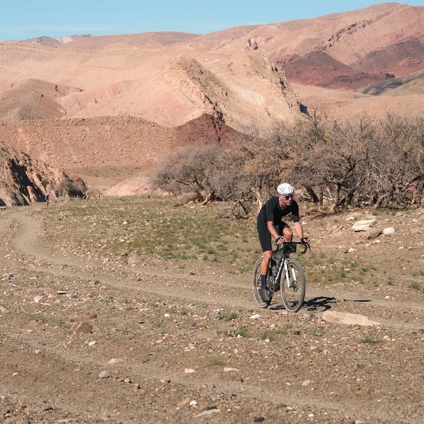 Nol van Loon: Fat Pigeon